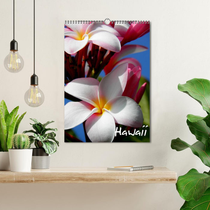 Hawaii (CALVENDO Wandkalender 2025)