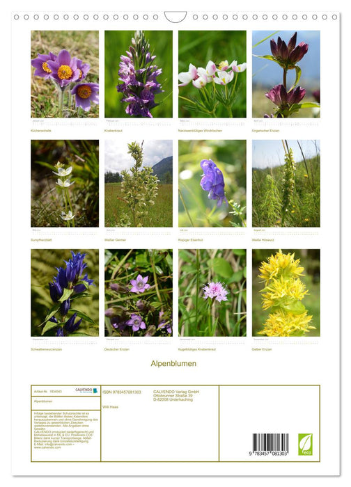 Alpenblumen (CALVENDO Wandkalender 2025)