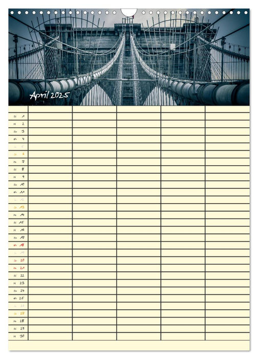 New York Familienplaner (CALVENDO Wandkalender 2025)