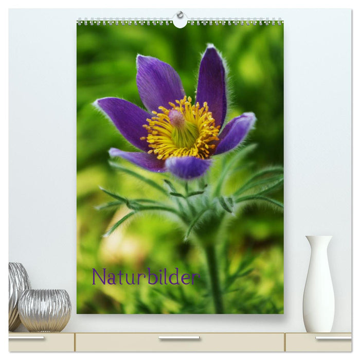 Naturbilder (CALVENDO Premium Wandkalender 2025)