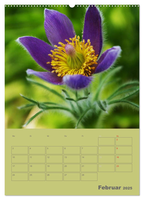 Naturbilder (CALVENDO Premium Wandkalender 2025)