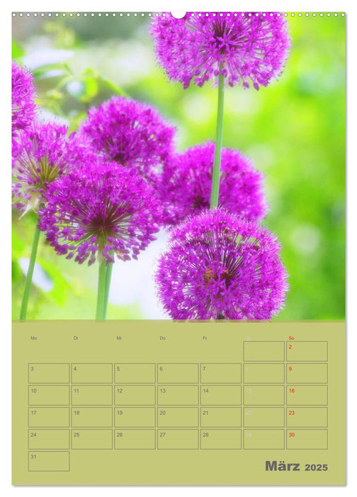 Naturbilder (CALVENDO Premium Wandkalender 2025)