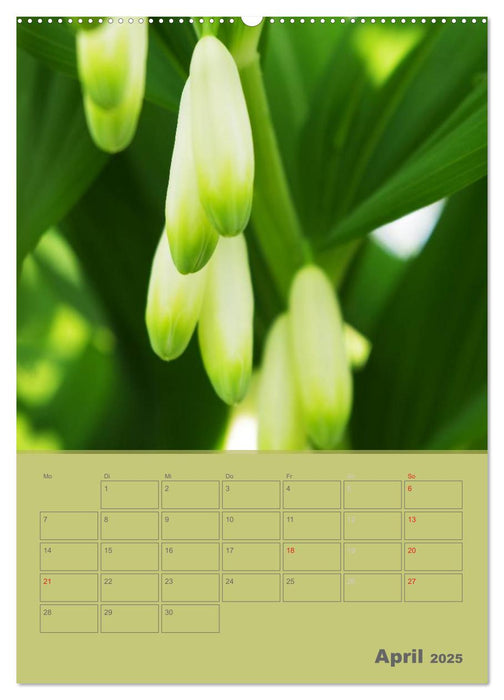 Naturbilder (CALVENDO Premium Wandkalender 2025)