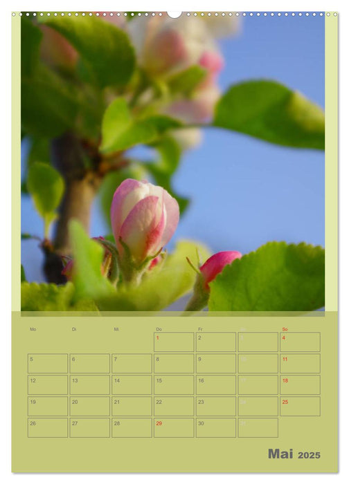 Naturbilder (CALVENDO Premium Wandkalender 2025)
