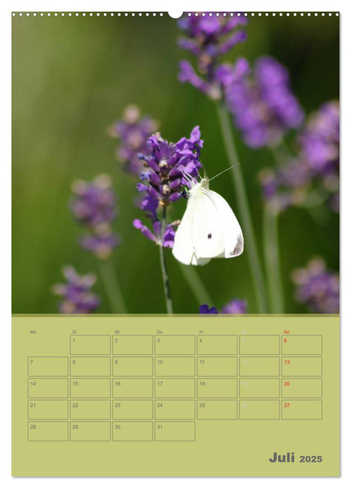 Naturbilder (CALVENDO Premium Wandkalender 2025)