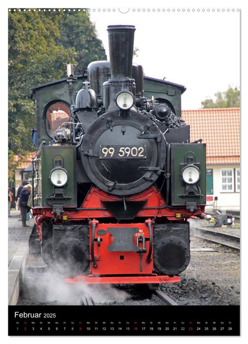 Die Brockenbahn (CALVENDO Premium Wandkalender 2025)