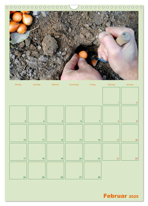 Gartenplaner (CALVENDO Wandkalender 2025)