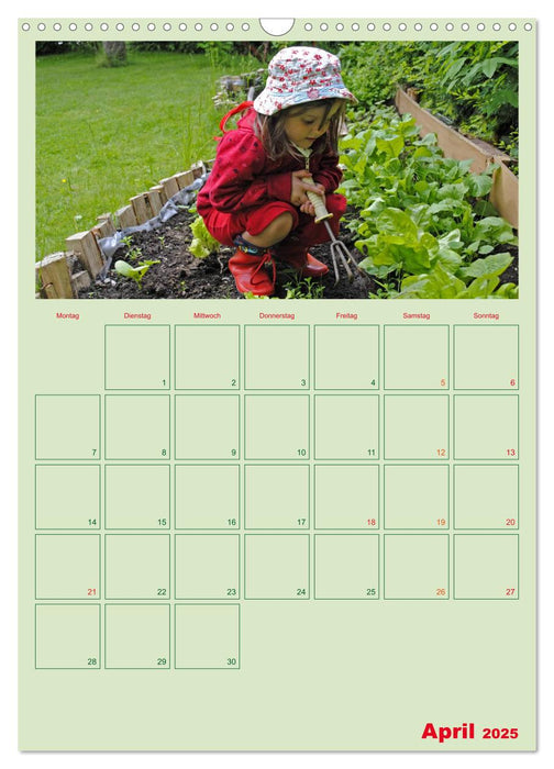 Gartenplaner (CALVENDO Wandkalender 2025)