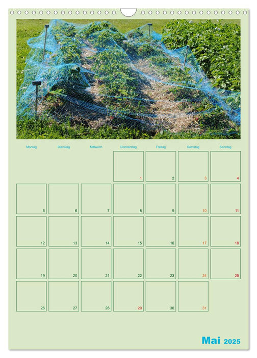 Gartenplaner (CALVENDO Wandkalender 2025)