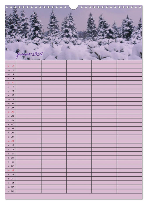 Familienplaner (CALVENDO Wandkalender 2025)