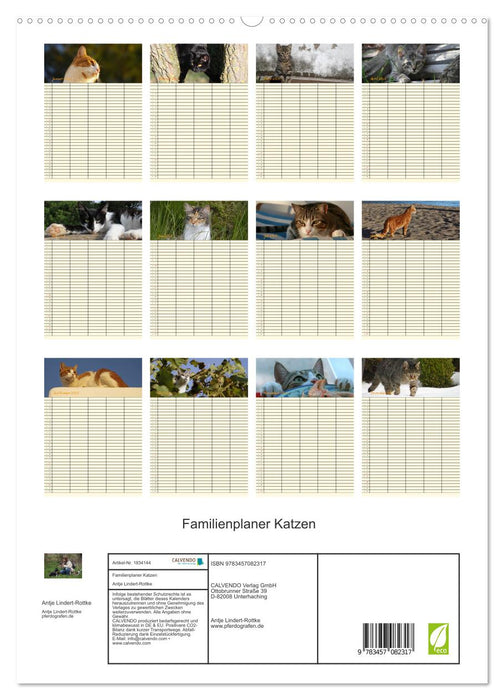 Familienplaner Katzen (CALVENDO Premium Wandkalender 2025)