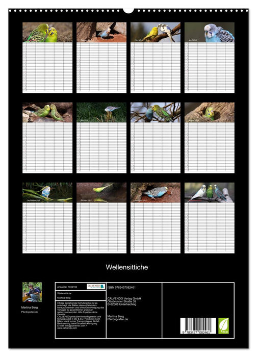 Wellensittiche (CALVENDO Premium Wandkalender 2025)