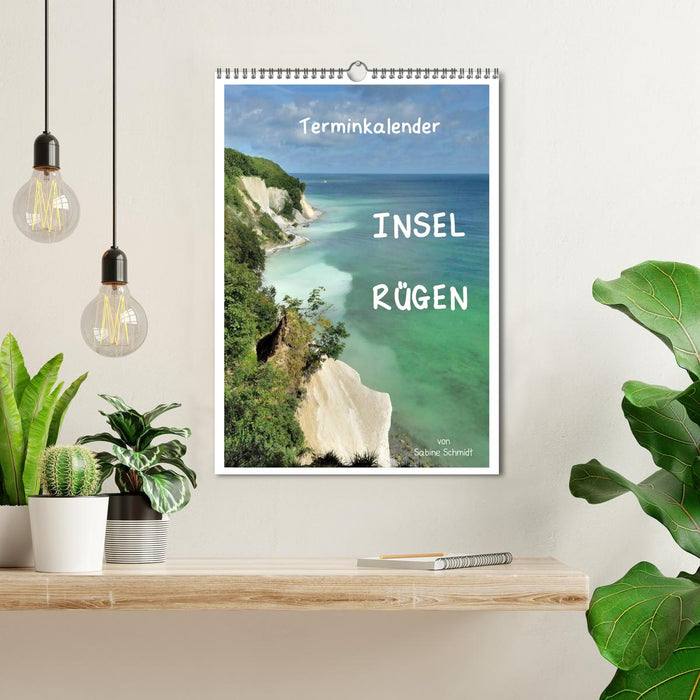 Insel Rügen / Planer (CALVENDO Wandkalender 2025)