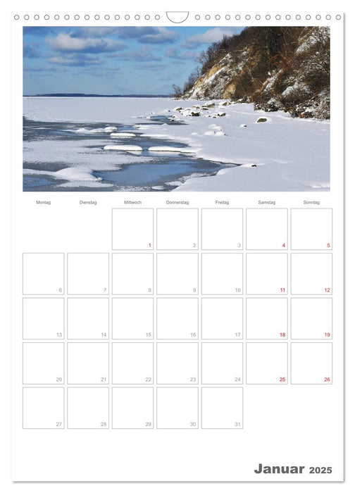 Insel Rügen / Planer (CALVENDO Wandkalender 2025)