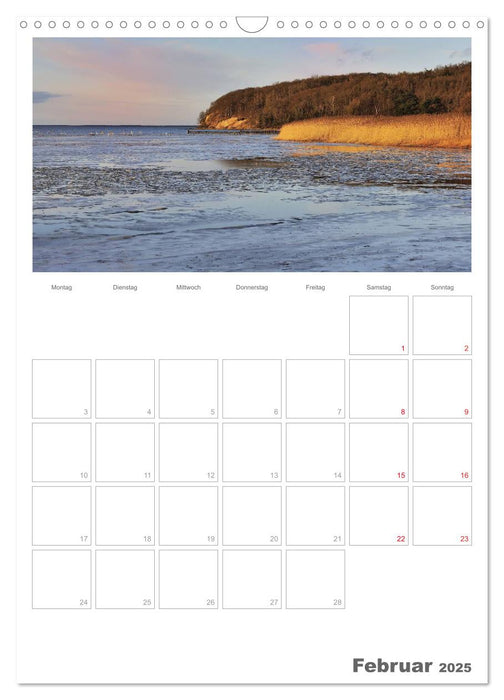 Insel Rügen / Planer (CALVENDO Wandkalender 2025)