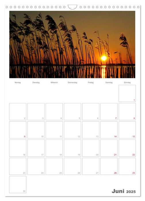 Insel Rügen / Planer (CALVENDO Wandkalender 2025)