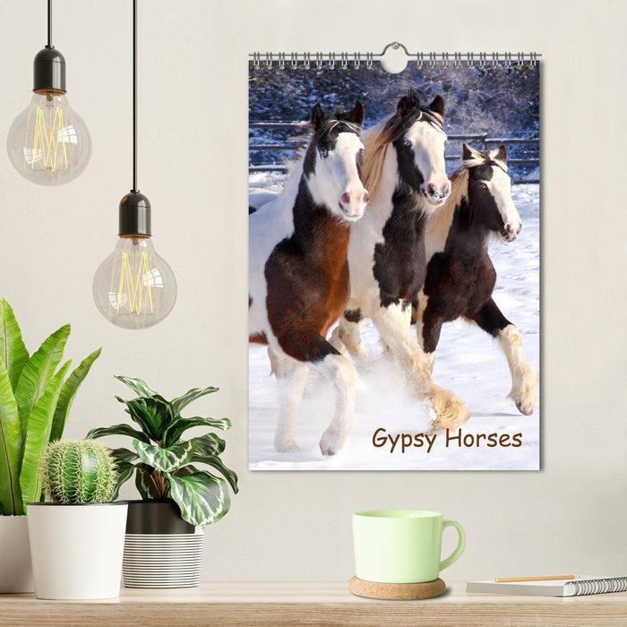 Gypsy's (CALVENDO Wandkalender 2025)