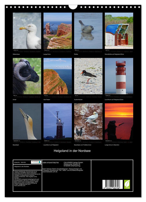 Helgoland in der Nordsee (CALVENDO Wandkalender 2025)