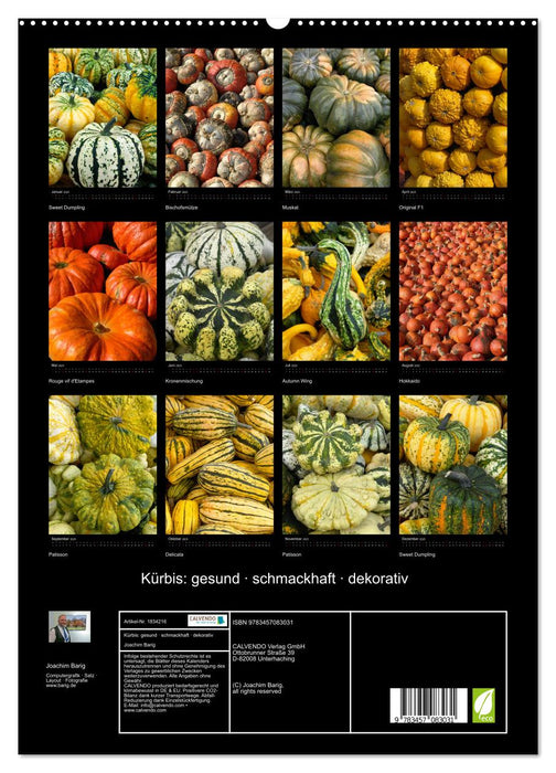 Kürbis: gesund · schmackhaft · dekorativ (CALVENDO Premium Wandkalender 2025)