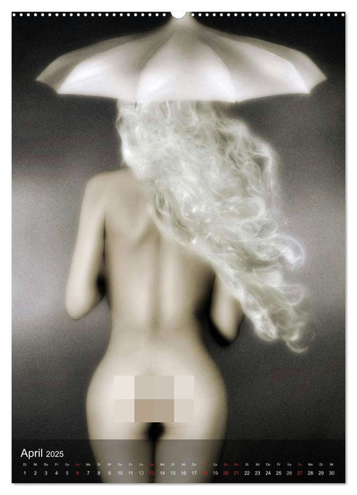 nude & lingerie. (CALVENDO Wandkalender 2025)