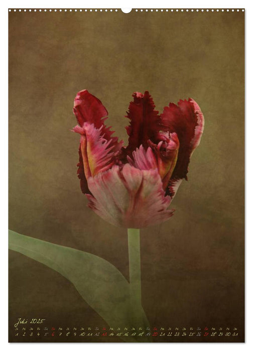 Blütenzauber (CALVENDO Premium Wandkalender 2025)