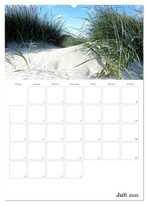 Dänemarks Westküste (CALVENDO Premium Wandkalender 2025)