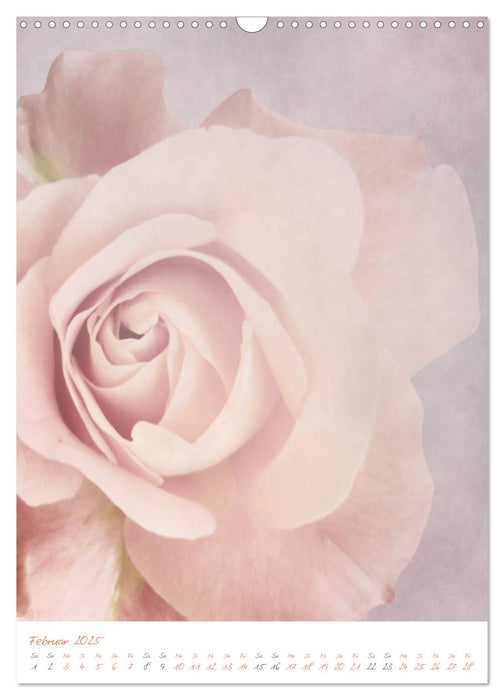 pastel flower collection (CALVENDO Wandkalender 2025)