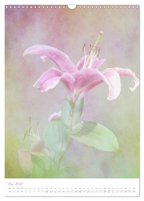 pastel flower collection (CALVENDO Wandkalender 2025)