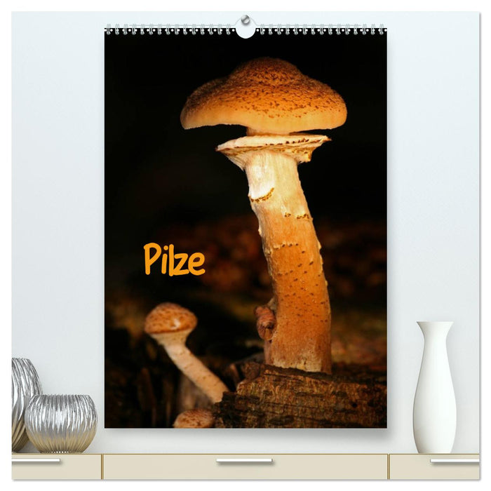 Pilze (CALVENDO Premium Wandkalender 2025)