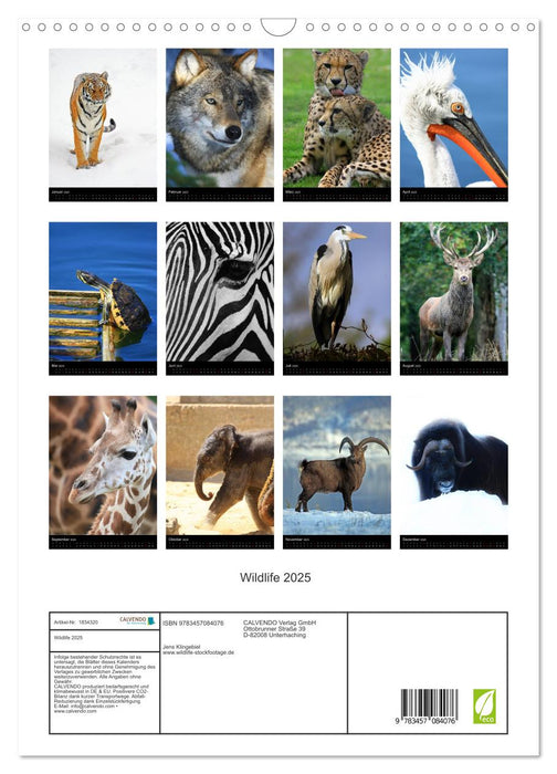 Wildlife 2025 (CALVENDO Wandkalender 2025)