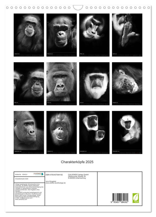 Charakterköpfe 2025 (CALVENDO Wandkalender 2025)