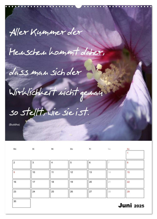 Sprüche und Weisheiten für´ s Jahr (CALVENDO Premium Wandkalender 2025)