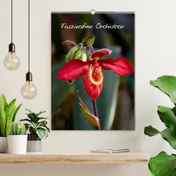 Faszination Orchideen (CALVENDO Wandkalender 2025)