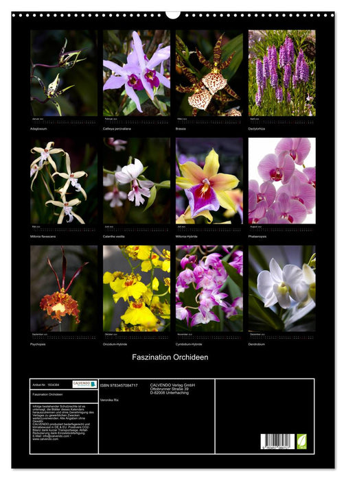 Faszination Orchideen (CALVENDO Wandkalender 2025)