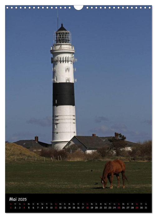 Zauberhaftes Sylt (CALVENDO Wandkalender 2025)