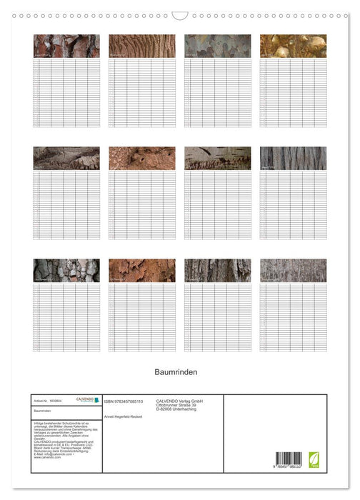 Baumrinden (CALVENDO Wandkalender 2025)