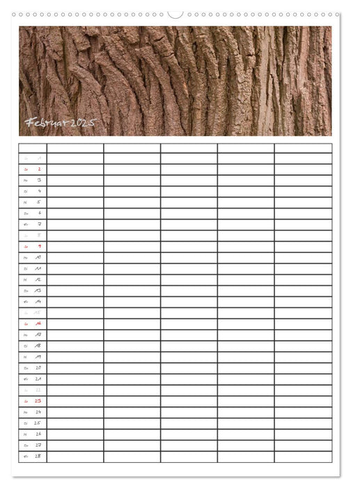 Baumrinden (CALVENDO Wandkalender 2025)