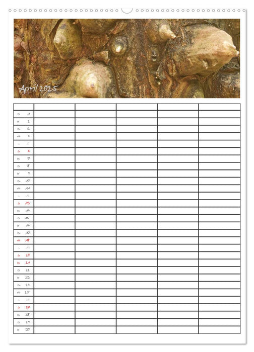 Baumrinden (CALVENDO Wandkalender 2025)