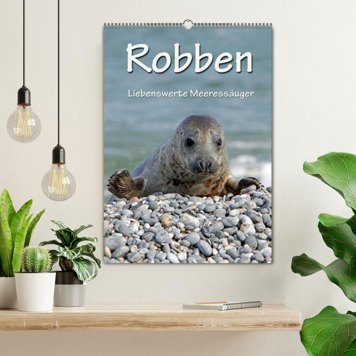 Robben (CALVENDO Wandkalender 2025)