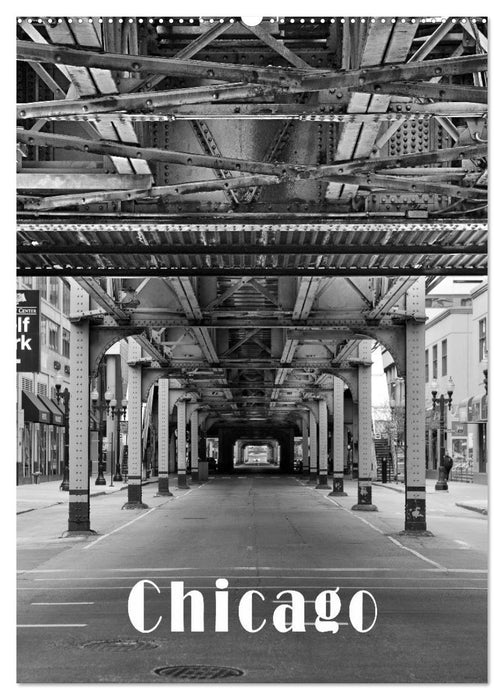 Chicago 2025 (CALVENDO Wandkalender 2025)