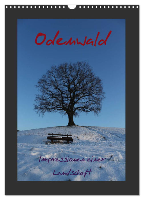 Odenwald - Impressionen einer Landschaft (CALVENDO Wandkalender 2025)