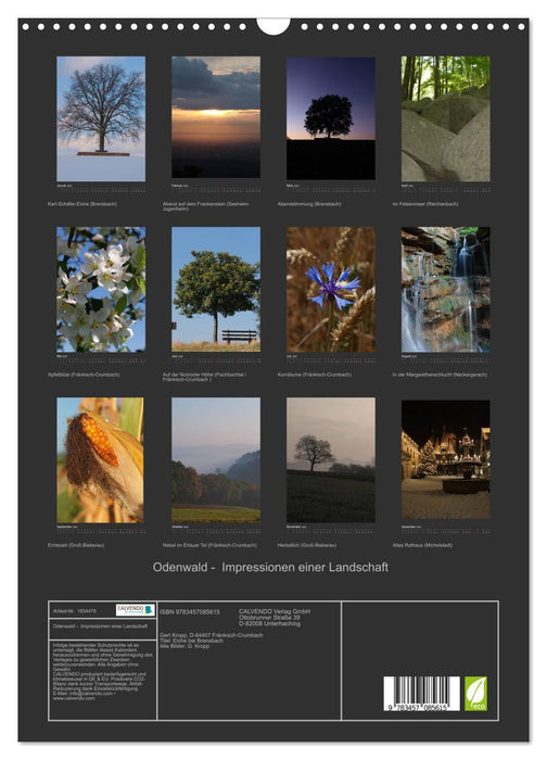 Odenwald - Impressionen einer Landschaft (CALVENDO Wandkalender 2025)