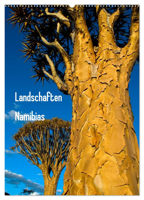 Landschaften Namibias (CALVENDO Wandkalender 2025)