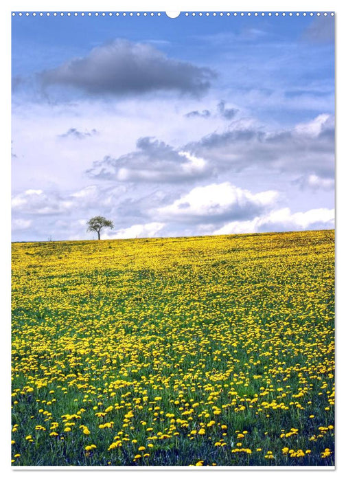 Landschaften (CALVENDO Wandkalender 2025)