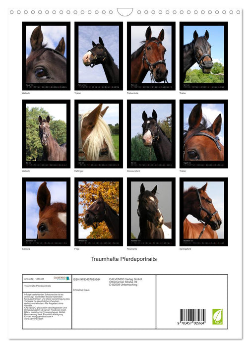 Traumhafte Pferdeportraits (CALVENDO Wandkalender 2025)