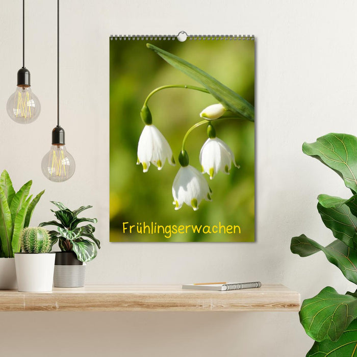 Frühlingserwachen (CALVENDO Wandkalender 2025)