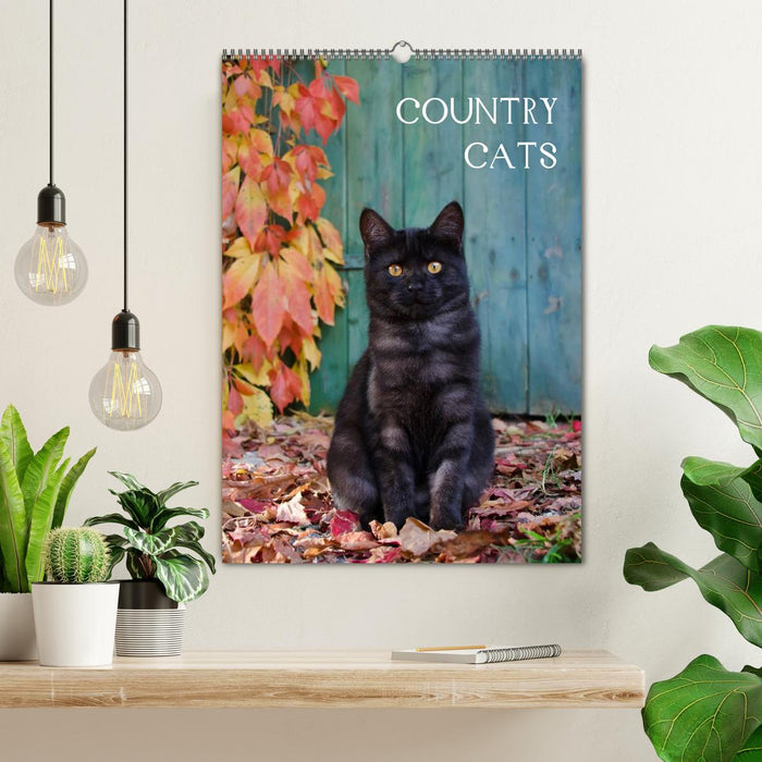 COUNTRY CATS (CALVENDO Wandkalender 2025)