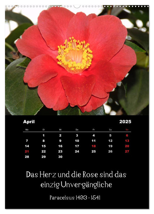 Sprüche und Zitate berühmter Personen über Blumen und Natur (CALVENDO Wandkalender 2025)