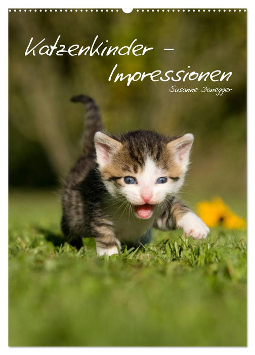 Katzenkinder - Impressionen (CALVENDO Wandkalender 2025)