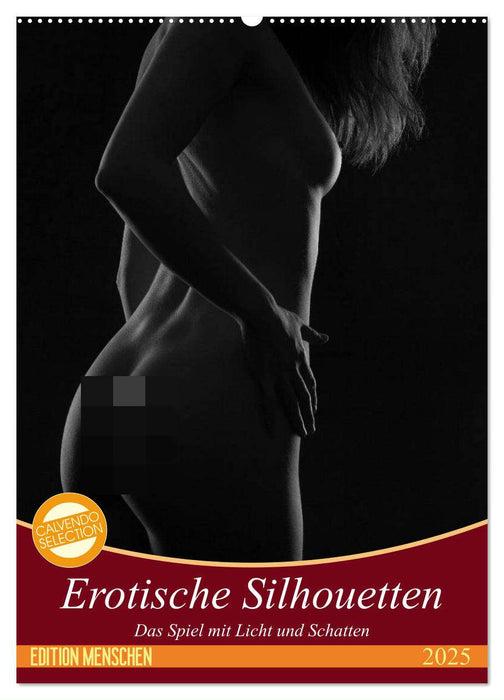 Erotische Silhouetten (CALVENDO Wandkalender 2025)